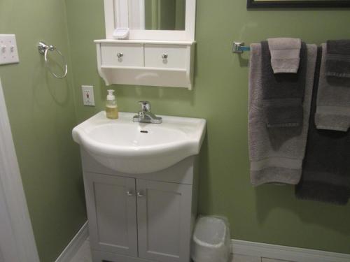 een badkamer met een wastafel en een spiegel bij Grand Oak Manor Bed and Breakfast in Granville Ferry