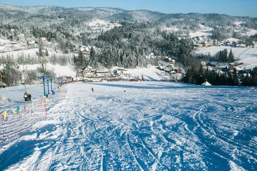 a ski slope with ski tracks in the snow at Apartamenty w Gorcach in Nowy Targ