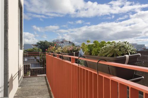 a balcony with pots of plants on a building at Azorean Urban Lodge in Ponta Delgada