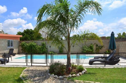 una palmera sentada junto a una piscina en Cholito 2 en Alta Gracia