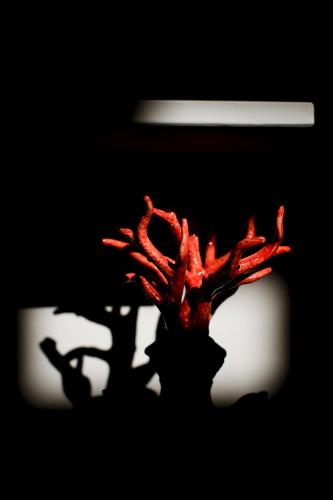 a red plant in a vase in the dark at Seven Historical Suites in Trieste