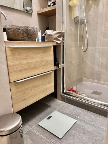 La salle de bains est pourvue d'une douche et d'un pèse-personne. dans l'établissement Cannes : Commandant André/Florian pieton, à Cannes