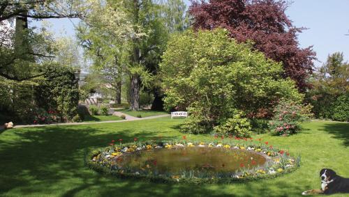 a dog sitting next to a pond in a park at Unterkunft im Weingut Fitz-Ritter in Bad Dürkheim