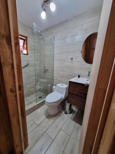 uma casa de banho com um WC, um chuveiro e um lavatório. em Refugios de Montaña Reloncaví - Ruka Lee IV em Nevados de Chillan