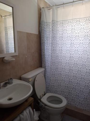 a bathroom with a toilet and a sink at CABAÑA LAUTARO in Las Grutas