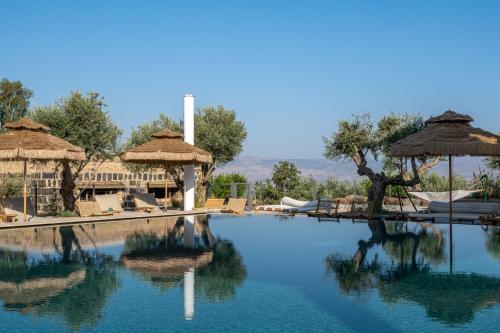 a swimming pool with umbrellas and lounge chairs at Pereh Mountain Resort in Gadot
