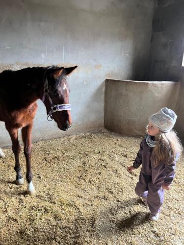 Děti v ubytování Petra Royal Ranch