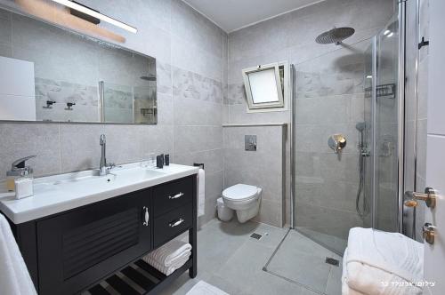 a bathroom with a sink and a shower and a toilet at סוויטת שרדונה in ‘Ein Ya‘aqov