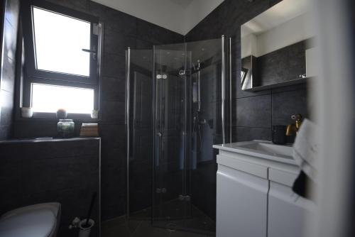 een badkamer met een douche en een wastafel bij הדירה בפארק ההייטק חיפה in Haifa