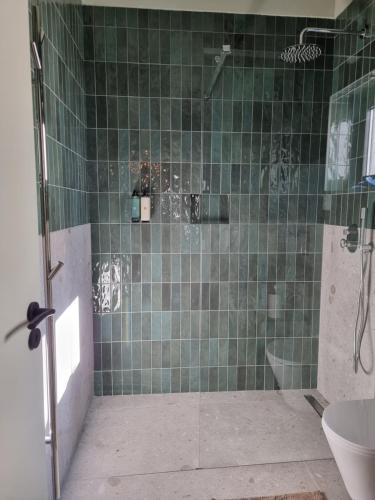 baño de azulejos verdes con ducha y aseo en Rooftop Guesthouse Alvor en Alvor