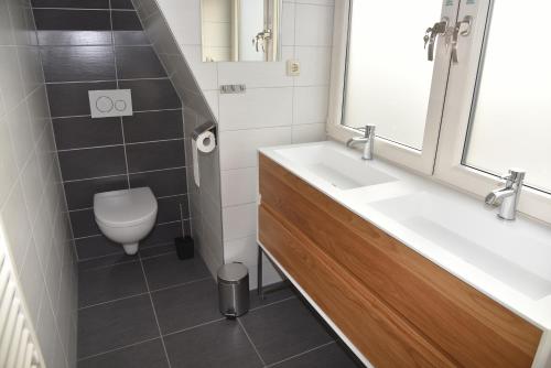 uma casa de banho com um lavatório e um WC em Het Kievitsnest em Oudehaske