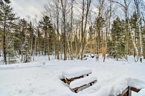 a picnic table covered in snow in a forest at Cozy Manistique Cabin with Deck, Grill and Fire Pit! in Manistique
