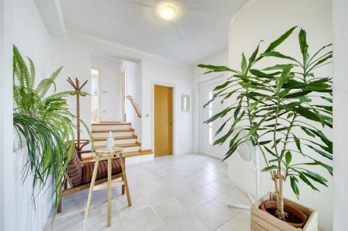 Gallery image of Apartment Justina in Murter