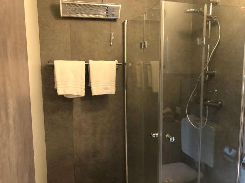 a bathroom with a shower with a glass shower stall at Tiny Häuschen in Ossiach