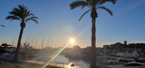 Cannes suquet Croisette