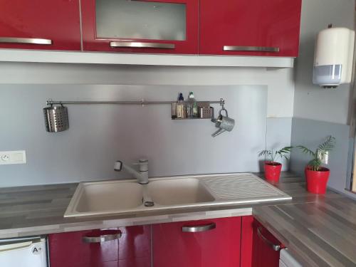 a kitchen with a sink and red cabinets at STUDIO L'HORIZON in Doazit