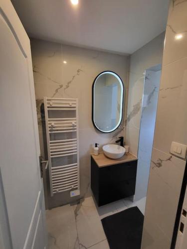 une salle de bain avec un lavabo et un miroir dans l'établissement Appartement moderne calme et spacieux-Centre Thuillat, à Limoges