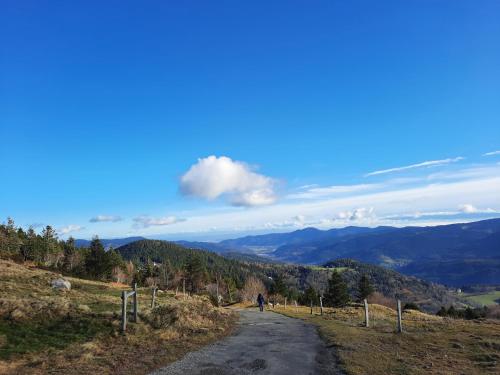 アパートメントの近くで見られる自然の景観