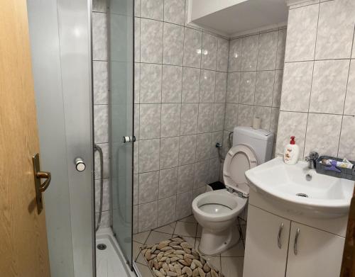 a bathroom with a shower and a toilet and a sink at Apartman MT in Kiseljak
