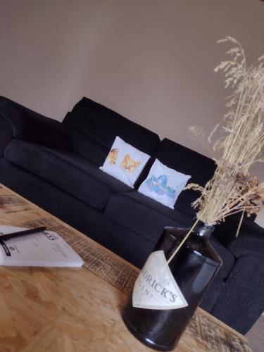 a black couch with pillows and a vase on a table at Casa Pircas in El Chalten