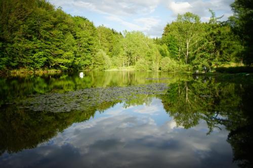 a lake with trees and clouds in the water at Cabane de l'aventurier in Saint-Nabord