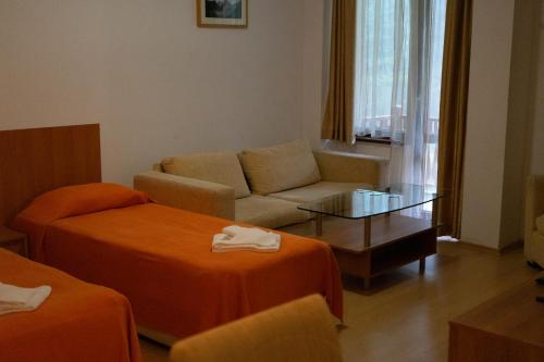 a living room with a couch and a bed at Villa Ibar in Borovets