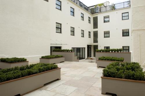 a courtyard with plants inpots in front of a building at Brooks Guesthouse Bristol in Bristol
