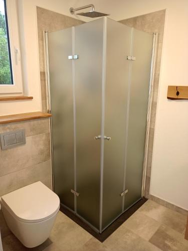 a bathroom with a toilet and a glass shower stall at Ferienwohnung Mundry in Täferrot