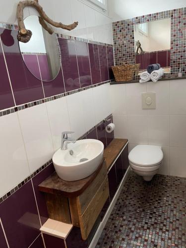 ein Bad mit einem Waschbecken und einem WC in der Unterkunft le Crusoé à l'étang d'Anty - appartement in Saint-Nabord