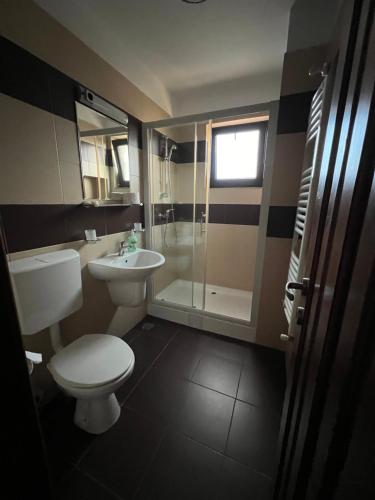 a bathroom with a toilet and a sink and a shower at Vila Irina in Podu Coşnii