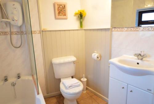 a small bathroom with a toilet and a sink at Cliff Cottage in Gorran Haven