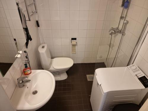 La salle de bains est pourvue d'un lavabo blanc et de toilettes. dans l'établissement City home Kulmakartano, à Jyväskylä