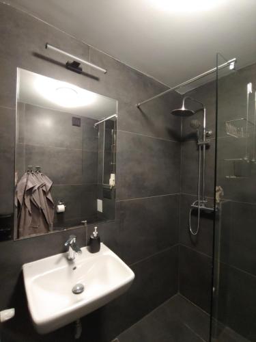 a bathroom with a sink and a shower at Apartament u Tomka Premium in Ustrzyki Dolne