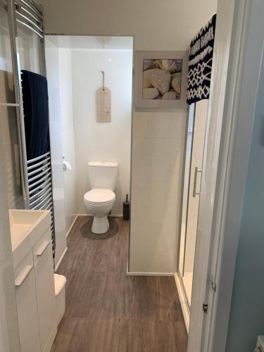 a small bathroom with a toilet and a sink at Ground Floor Apartment in Exmouth