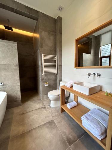 a bathroom with a sink and a toilet and a mirror at Mawün Lodge in Villarrica