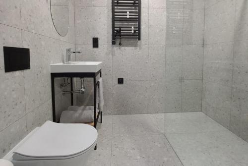 a bathroom with a toilet and a sink at Apartamenty Między Mostami in Stegna