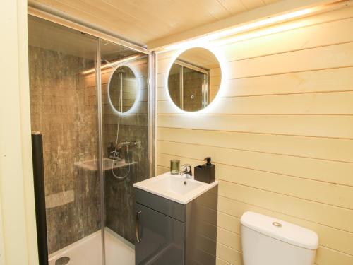 a bathroom with a toilet and a sink and a shower at Callow Pod in Shrewsbury