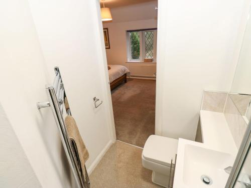 a bathroom with a toilet and a sink at Woods Lane Cottage in Oldham