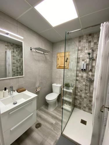 Un baño con inodoro, lavabo y ducha. en Apartamento Jerez Sherry, en Jerez de la Frontera