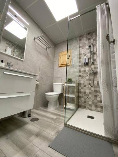 Un baño con ducha, lavabo e inodoro. en Apartamento Jerez Sherry, en Jerez de la Frontera