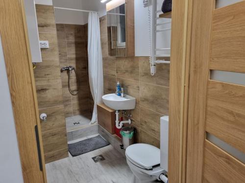 a small bathroom with a toilet and a sink at Downtown Studio Apartman in Pécs