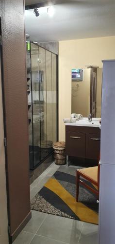y baño con ducha y lavamanos. en GITE Appartement 2/3 pers., en Bordères-sur-lʼÉchez