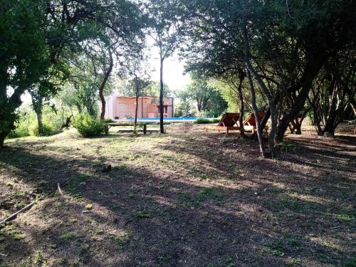 Los chañares – Photos 3
