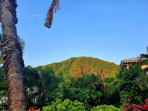 a palm tree in front of a mountain at La Villa Baie du Marin in Le Marin