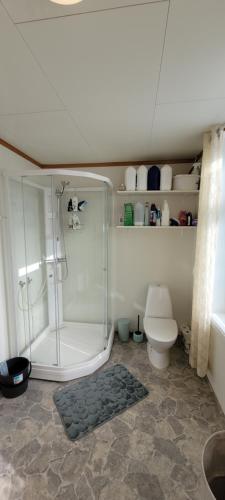 a bathroom with a shower and a toilet at Skogan in Leirfjord