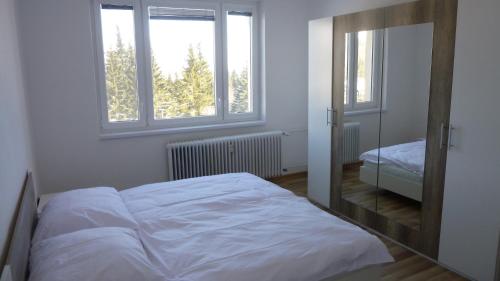 a bedroom with a bed and two windows and a mirror at Apartmanovy byt pri Zubačke in Štrba