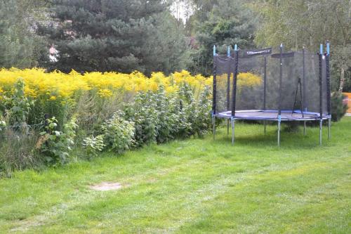 a trampoline in the grass in a yard at Lawendowa Malanówka - domek nad jeziorem in Radęcin