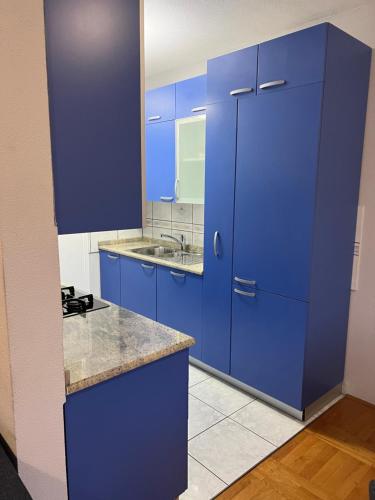 a blue kitchen with a sink and a blue cabinet at Croatia Home in Velika Gorica