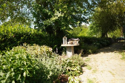 a bird bath with flowers on it in a garden at De Trouwerie in Emmen