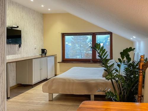 um quarto com uma cama e uma grande janela em Chata na skale em Karpacz